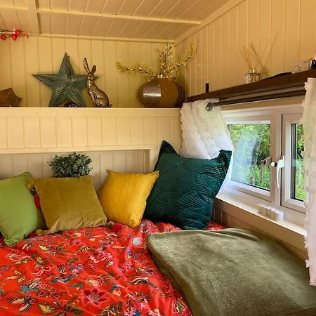 Neddys Rest Luxury Horsebox Stay Баттл Екстер'єр фото