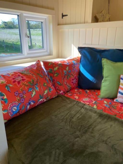 Neddys Rest Luxury Horsebox Stay Баттл Екстер'єр фото