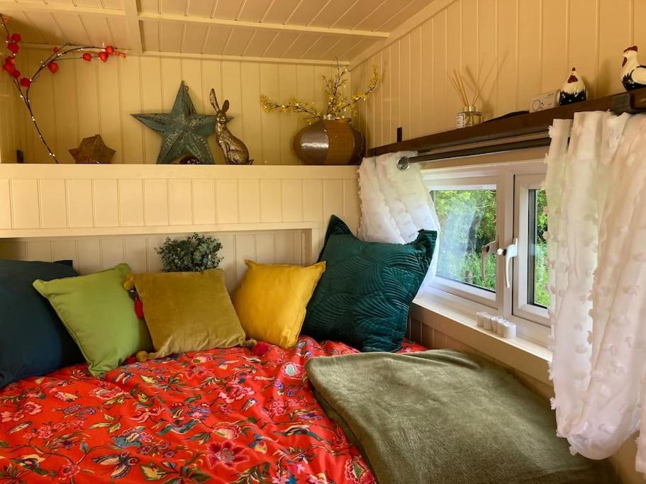 Neddys Rest Luxury Horsebox Stay Баттл Екстер'єр фото