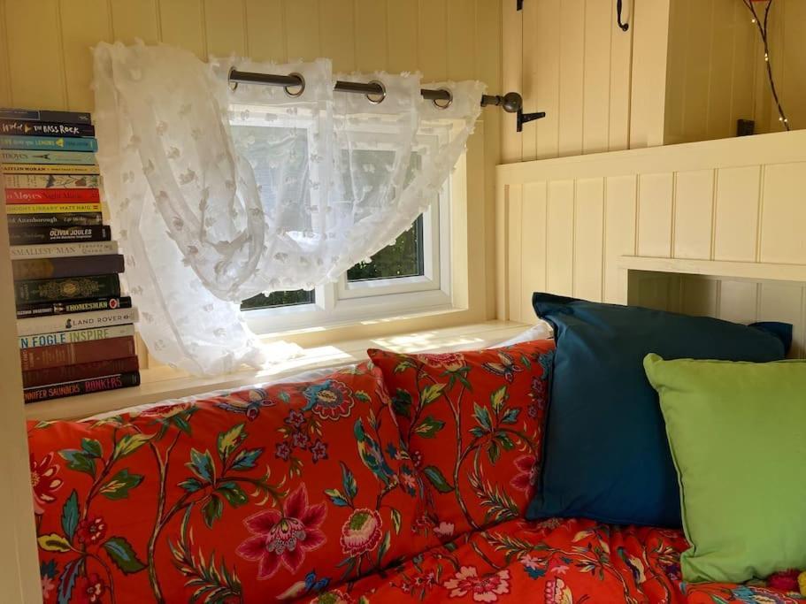 Neddys Rest Luxury Horsebox Stay Баттл Екстер'єр фото