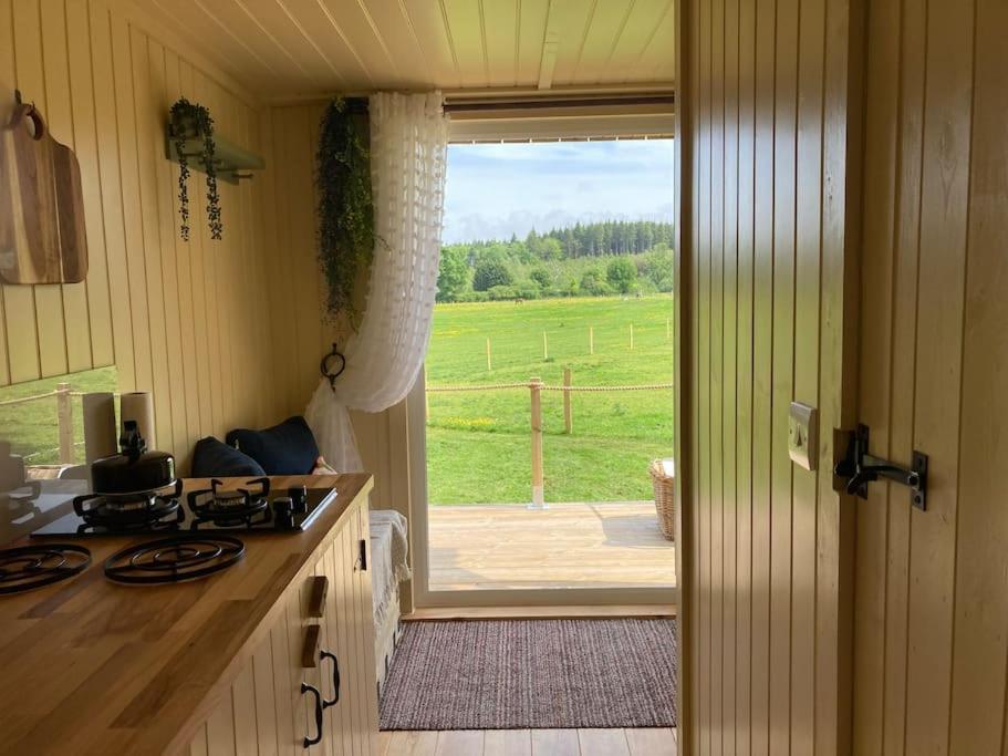 Neddys Rest Luxury Horsebox Stay Баттл Екстер'єр фото